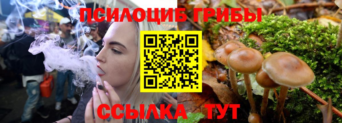 Благодарный  Псилоцибиновые грибы Psilocybine cubensis  Вход с VPN  купить наркотик  Псилоцибиновые грибы GOLDEN TEACHER 